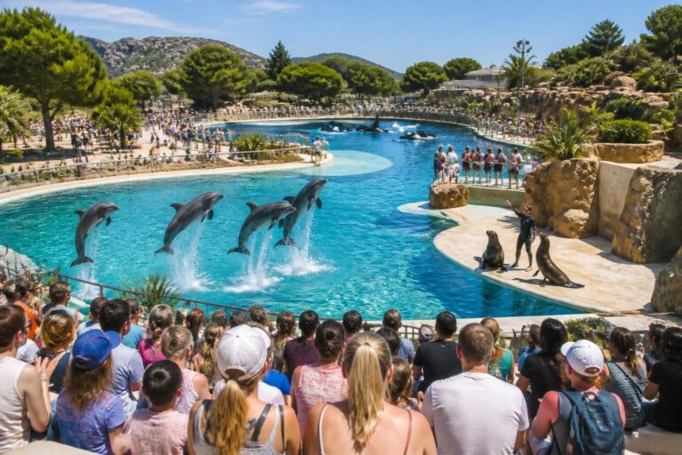 découvrez marineland marseille : activités passionnantes, conseils pratiques et astuces pour profiter pleinement d'une journée inoubliable en famille ou entre amis.